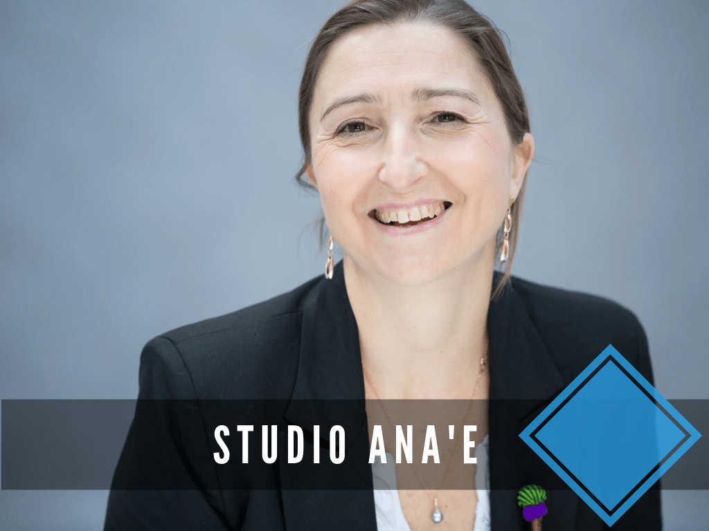 Illustration de la mission de Marketing Digital menée auprès des équipes du Studio Ana'e en 2019