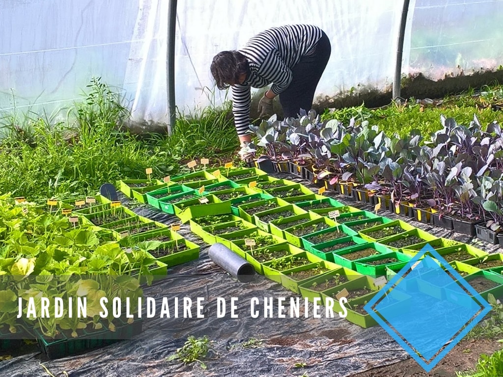 Illustration de la mission de Communication Digitale menée pour Le Jardin Solidaire de Chéniers en 2019