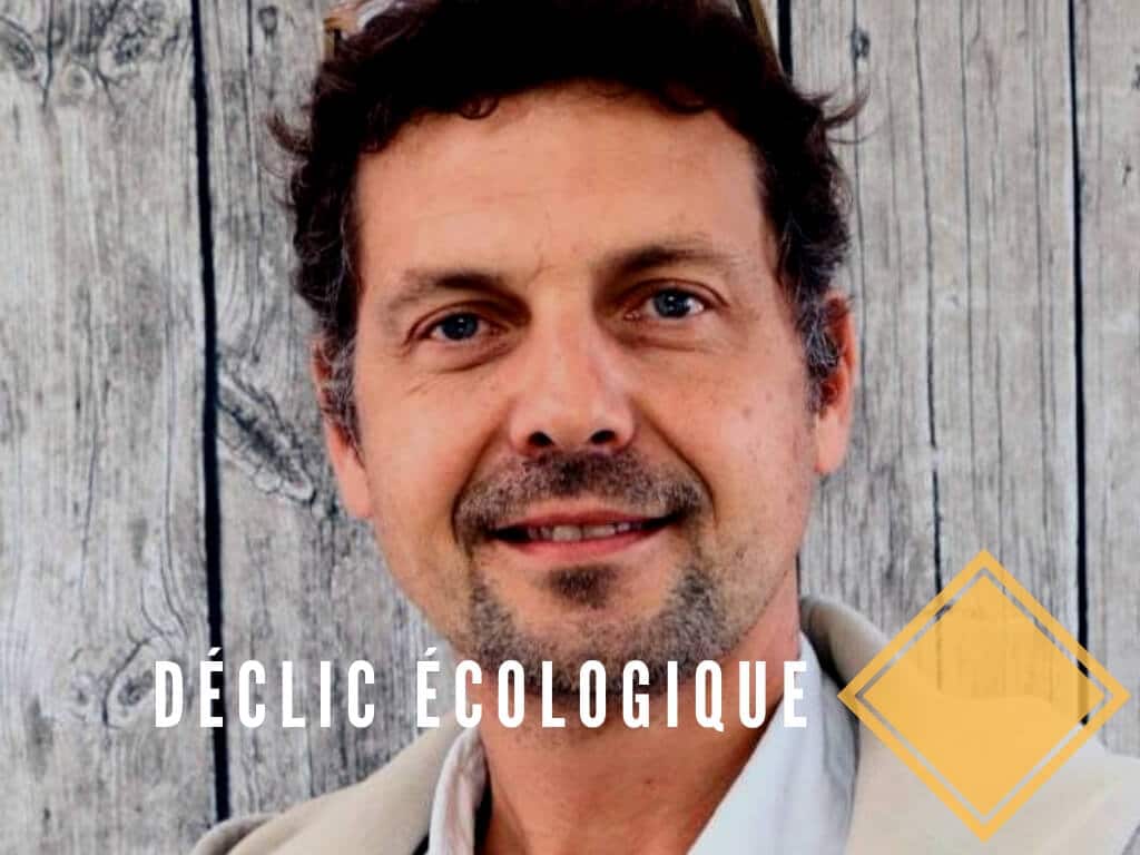 Illustration de la mission de création d'identité de marque menée pour Déclic Ecologique en 2018