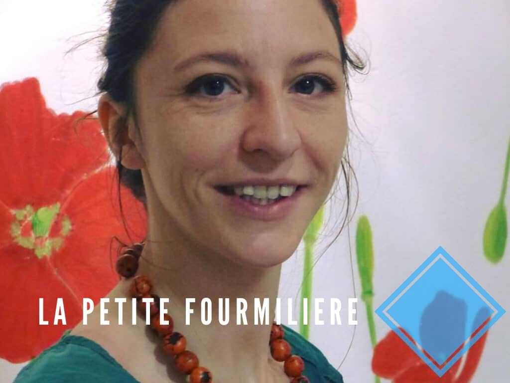 Illustration de la formation Facebook menée pour La petite fourmilière en 2017