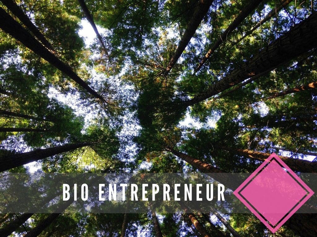 Illustration du webinaire en Communication Responsable menée avec Bio Entrepreneur en 2018