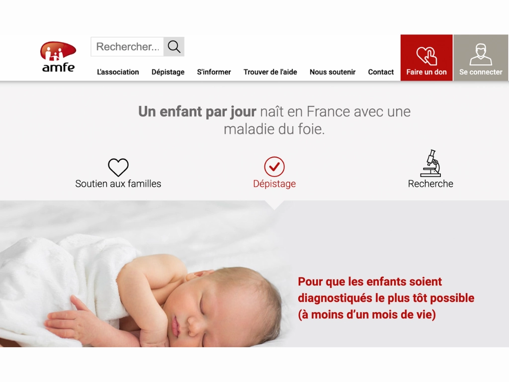 Illustration de la mission de conseil pour la refonte du site internet de l'association AMFE en 2023